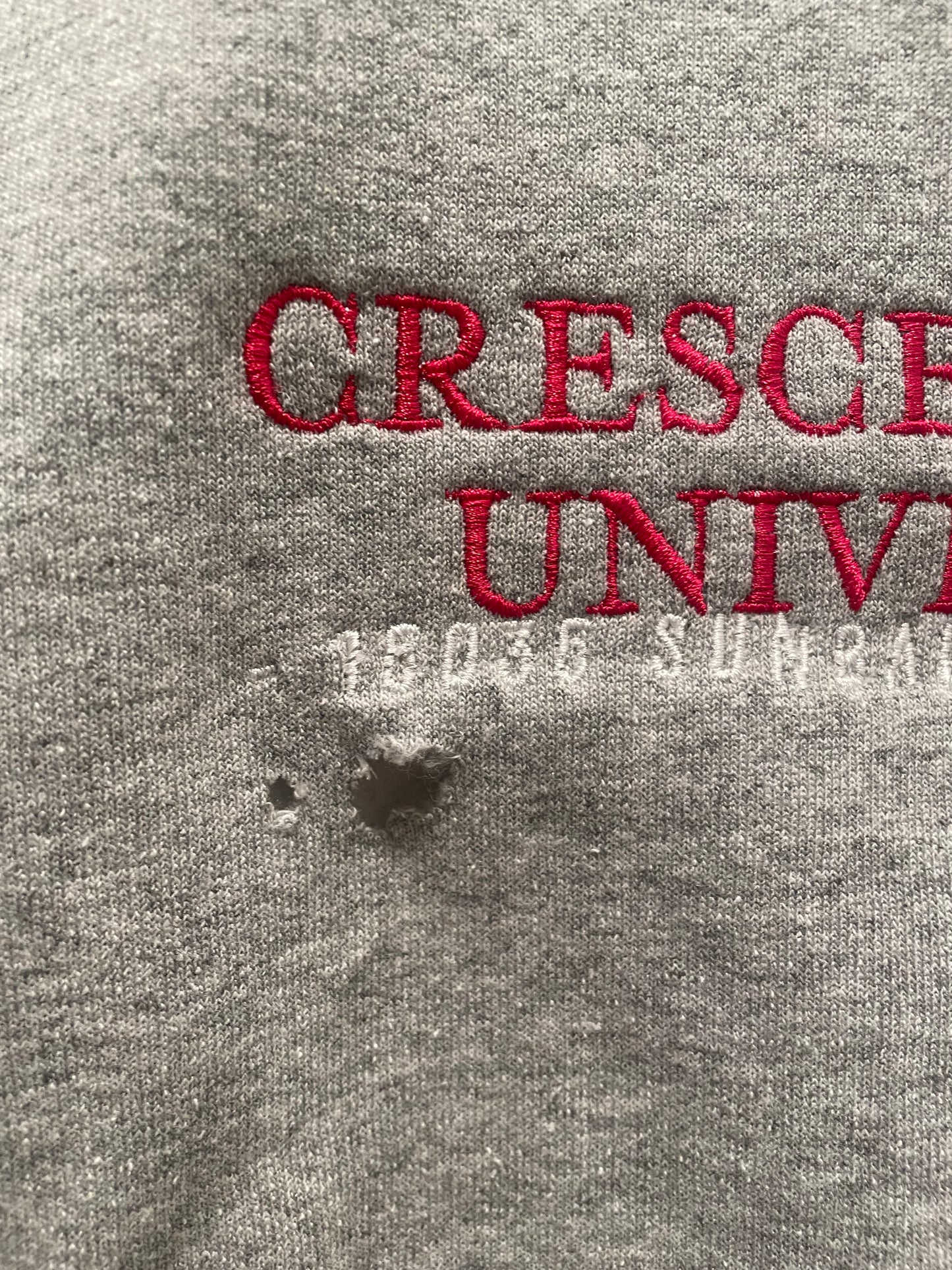 Crescent City University Crewneck ***IMPERFECT SIZE M***